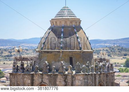 Alfiler Tower, A 14th Century  Gothic Belfry Adorned With Glazed Roof Tiles And Favourite Nesting Pl