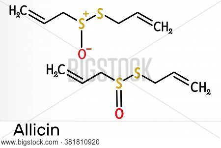 Allicin, Sulfoxide Molecule. This Compound Exhibits Antibacterial And Anti-fungal Properties. Skelet