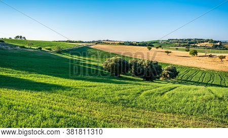 Beautiful Sunrise In The Countryside Of Marche In A Summer Morning
