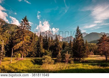 Summer Has Arrived In The Italian Alps