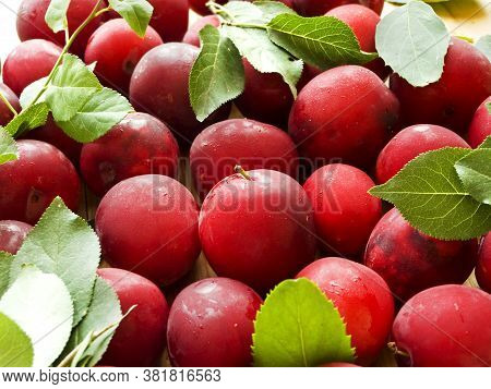 Alucha Cherry Plum Berries On Wooden Background. Shallow Dof.