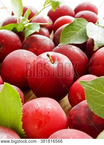 Alucha Cherry Plum Berries On Wooden Background. Shallow Dof.