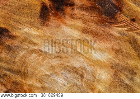 Close-up Texture Of A Sawn Tree Trunk. Annual Rings Of A Tree. Close Up View Of Wood Core. Sawn Tree