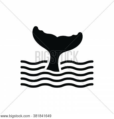 Black Solid Icon For Tail Rump Tang Mermaid Sea Creature Aquatic Aquarium Water