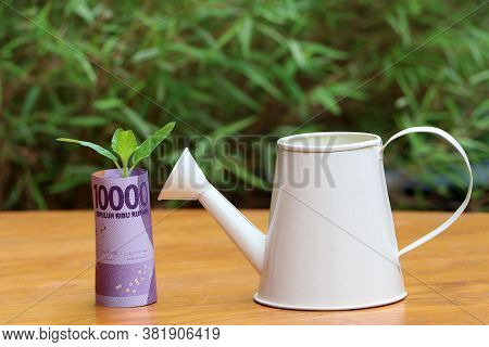 Rolled Banknote Money Ten Thousand Indonesia Rupiah And Young Plant Grow Up With Small White Waterin