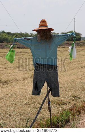 Scarecrow Or Strawman Setting On The Field, Usually Made To Resemble A Human Figure, Set Up To Scare