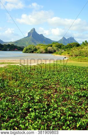 Beautiful landscape in Mauritius island. View from Tamarin Bay on Rempart mountain.