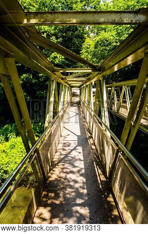 Long Distant Walkway Bridge In The Woods