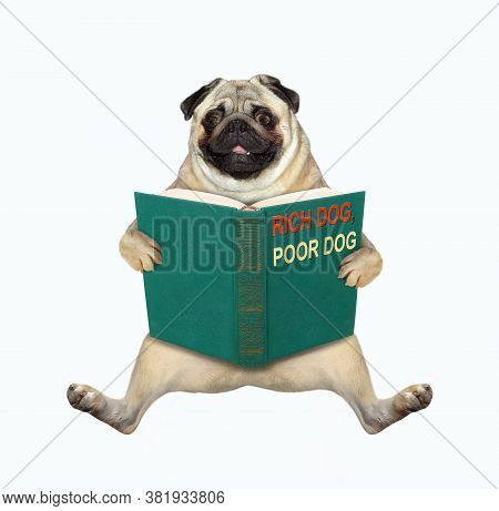 The Pug Dog Is Sitting With A Open Blue Book Called Rich Dog, Poor Dog. White Background. Isolated.