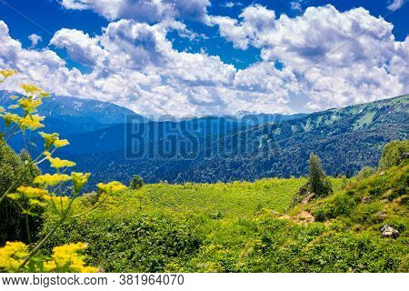 Beautiful Green Mountain Landscape With Flowers In Lago-naki