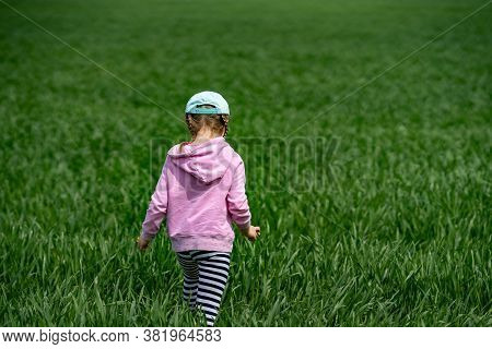 Small Child, Girl Of 4 Years Old, Is Lost, Walking On Field. Doesn't Know Where To Go. Lost Look Of 