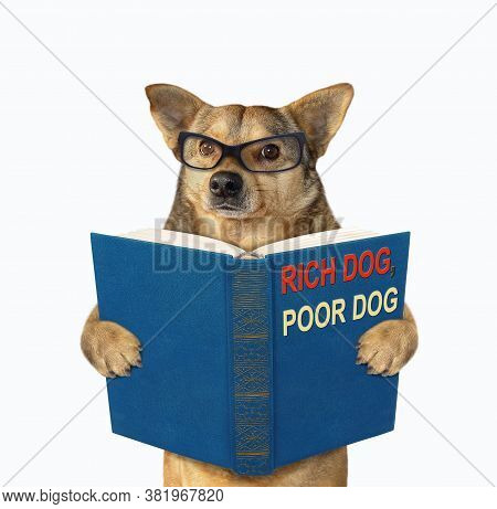 A Beige Dog In Glasses Is Standing With A Open Blue Book Called Rich Dog, Poor Dog. White Background