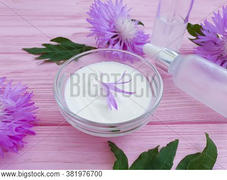 Cream Cosmetic Flower On Wooden Background Echinacea