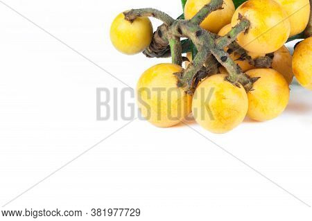 Fresh Ripe Loquat Japanese Medlar Fruit With Branch And Leaf Isolated On White Background, Malta Plu