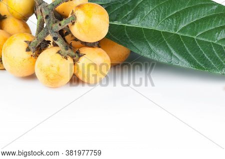 Fresh Ripe Loquat Japanese Medlar Fruit With Branch And Leaf Isolated On White Background, Malta Plu