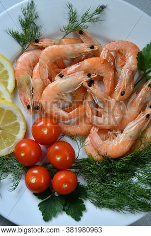 Prawns (latin. Caridea) As Food - Delicacy