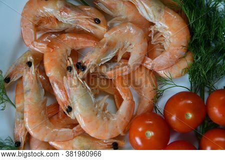 Prawns (latin. Caridea) As Food - Delicacy