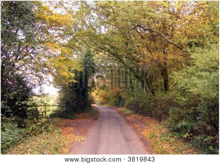 Autunno