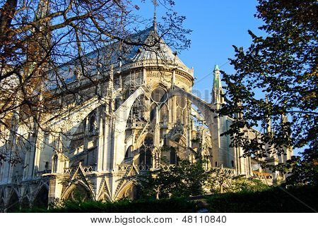 Catedral de Notre Dame