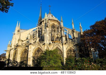 Catedral de Notre Dame