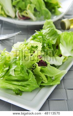 Nærbillede af en plade med mesclun, en blanding af diverse salat blade
