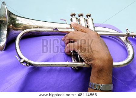 Jazz musician.