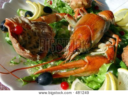 Gamberi e crostacei