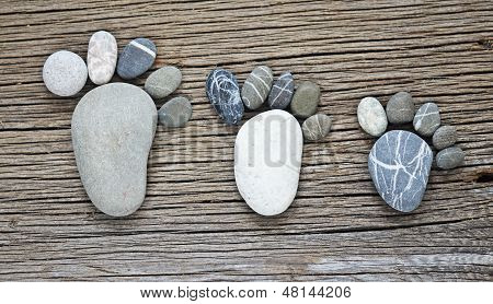 Pebble familie