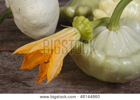สุก pattypan สควอชผักกับดอกไม้สีเหลือง