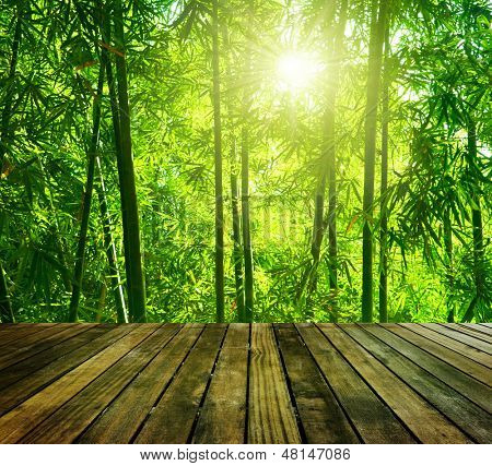 木制平台和亚洲竹林与早晨的阳光。