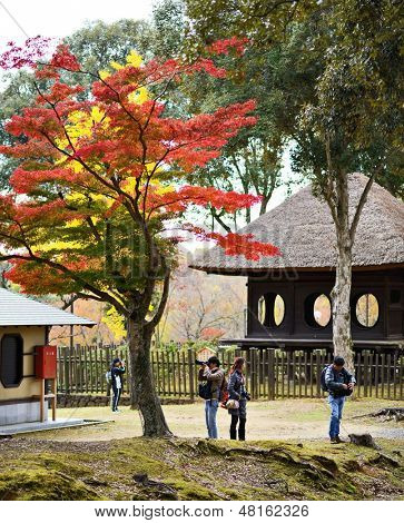 NARA, JAPAN - NOVEMBER 18: Photographers under fall foliage November 18, 2012 in Nara, JP.  Viewing the fall foliage is a cultural pastime in Japan dating from antiquity.