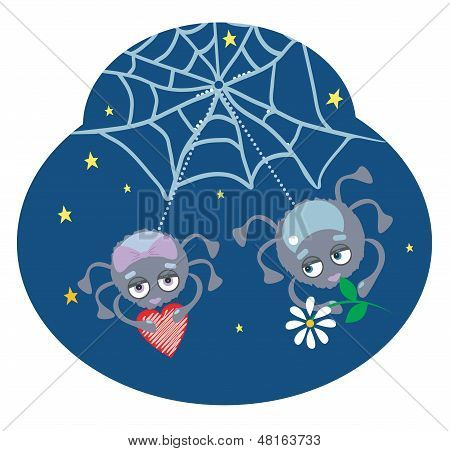Spider_with_flower.jpg