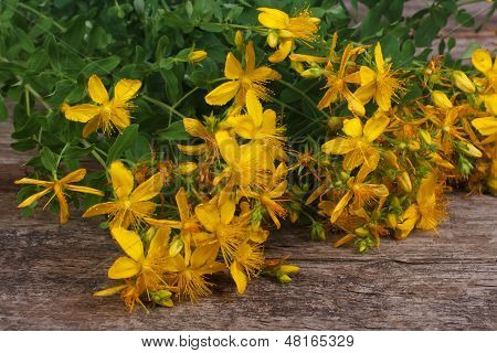 friske gule blomster Hypericum på det gamle bord
