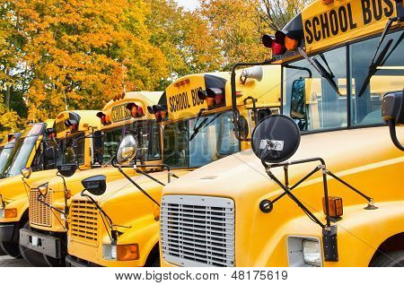 Gele schoolbussen