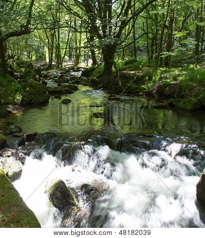 Golitha Falls Bodmin Moor Cornwall