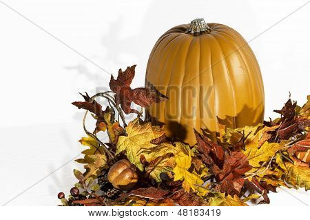 Foglie di zucca ombra