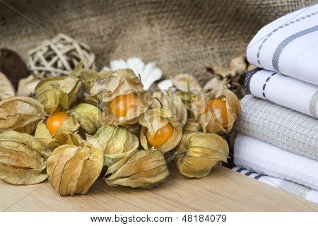 Makro kuva tuore Physallis marjoja