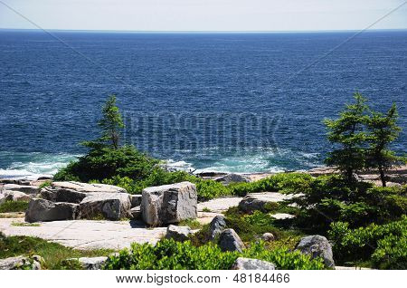 Schoodic Point