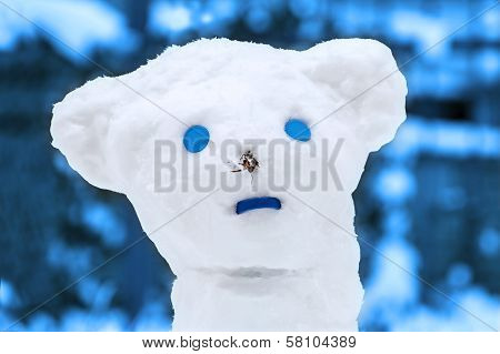 Snow Man
