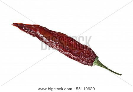 Dried Red Chilli Peppers