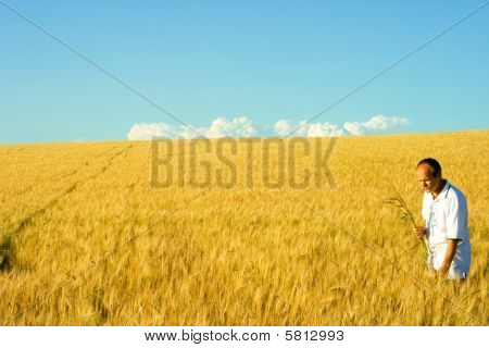 Landwirtschaft