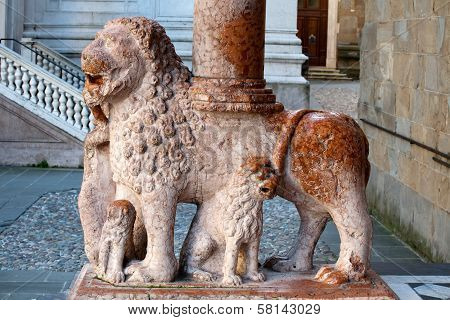 Lion Column Of Colleoni Chapel In Bergamo