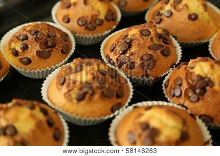Muffins With Chocolate Chips On The Baking Tray