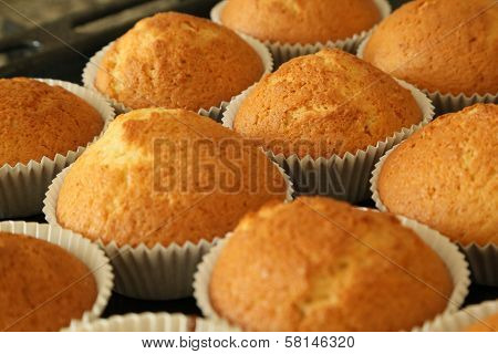 Muffins With Vanilla Flavour