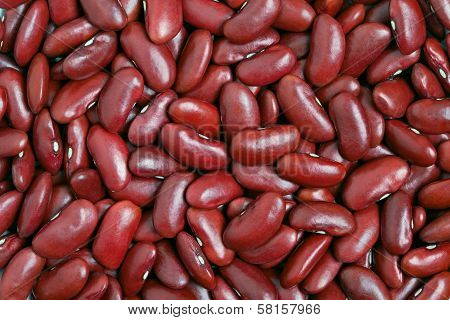 Red Kidney Bean