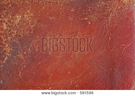 Fondo de piel de cerdo Grunge