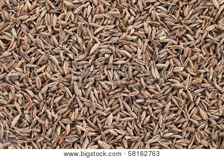 Cumin Seeds Background