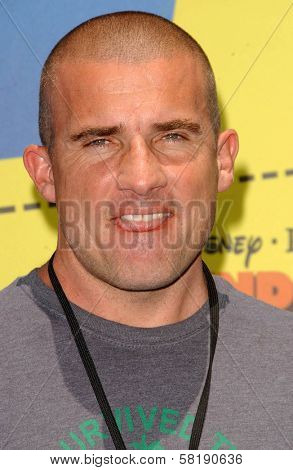 Dominic Purcell at the Opening of Disneyland's 