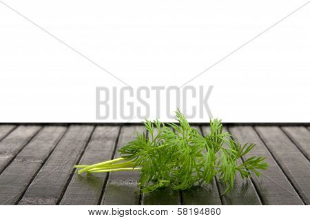 Dill