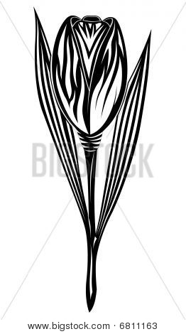 Tulp, Tattoo